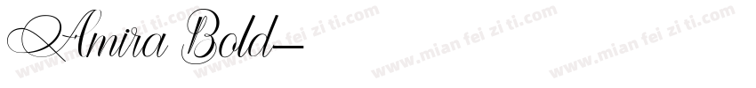 Amira Bold字体转换
